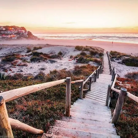 Sun And Surf Escape Free Bikes And Surfboards